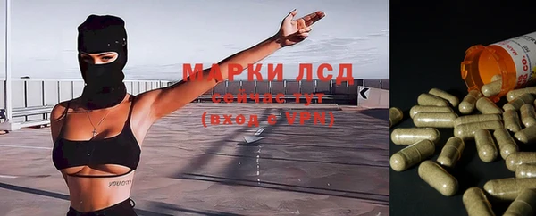 марки nbome Вяземский