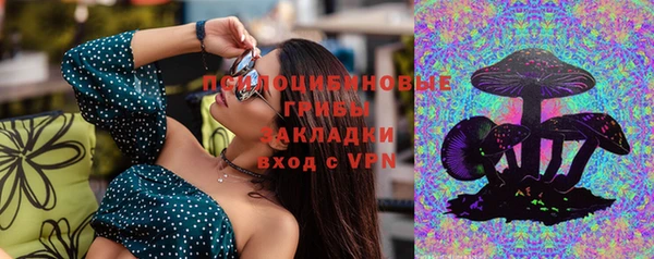 марки nbome Вяземский