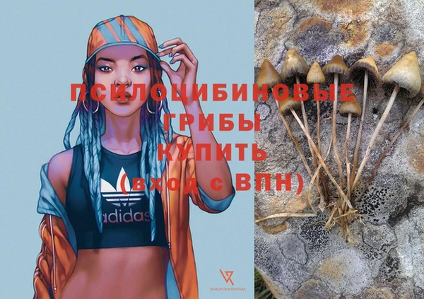 марки nbome Вяземский
