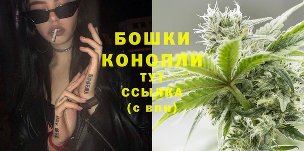 марки nbome Вяземский
