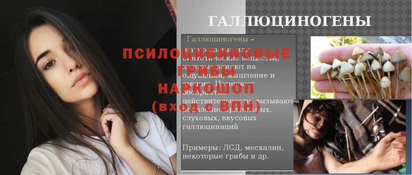 марки nbome Вяземский