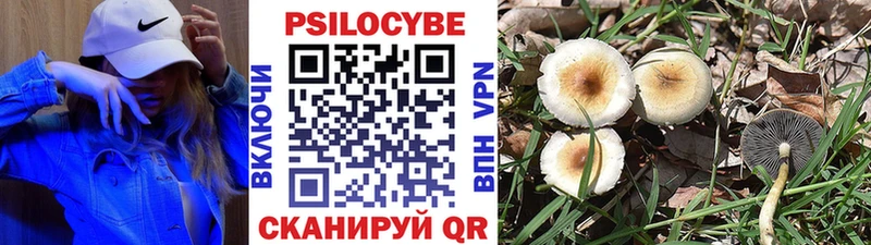Купить где  Протвино  Псилоцибиновые грибы MAGIC MUSHROOMS 